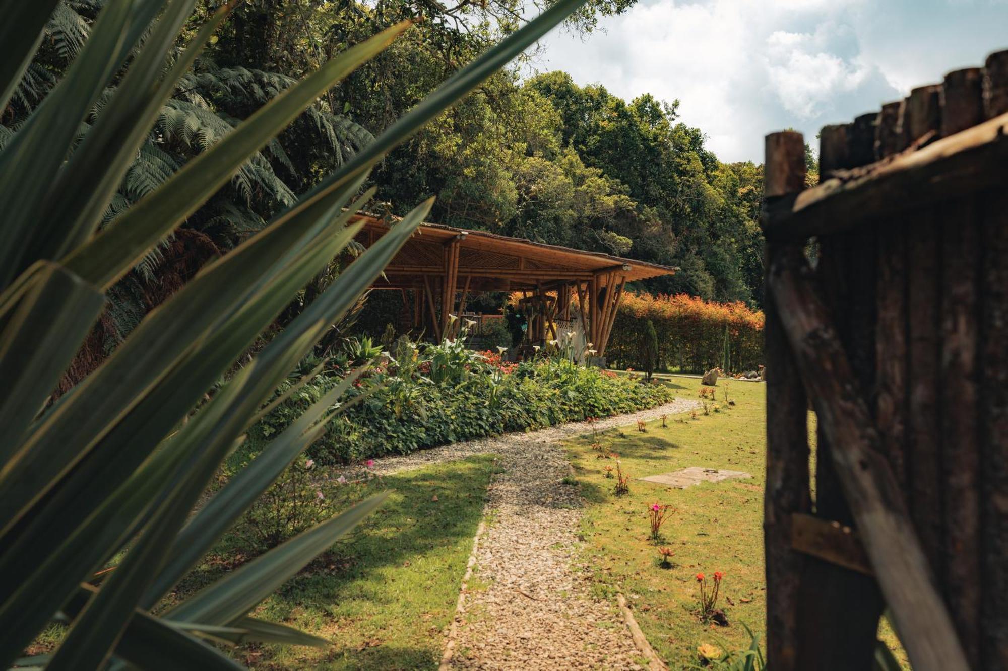 Bubblesky Glamping 15 Min From Medellin Hotel Rionegro Eksteriør billede