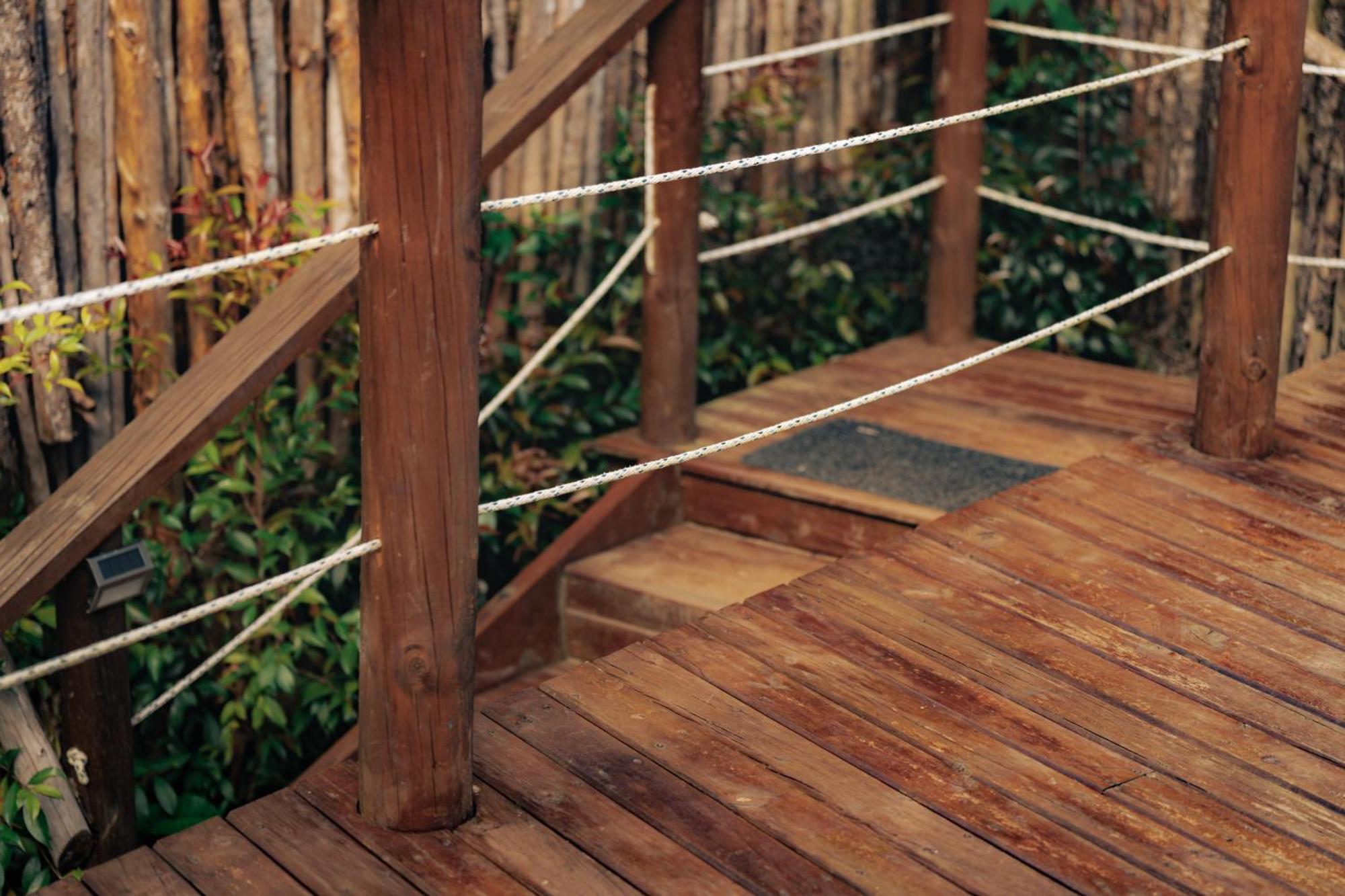 Bubblesky Glamping 15 Min From Medellin Hotel Rionegro Eksteriør billede