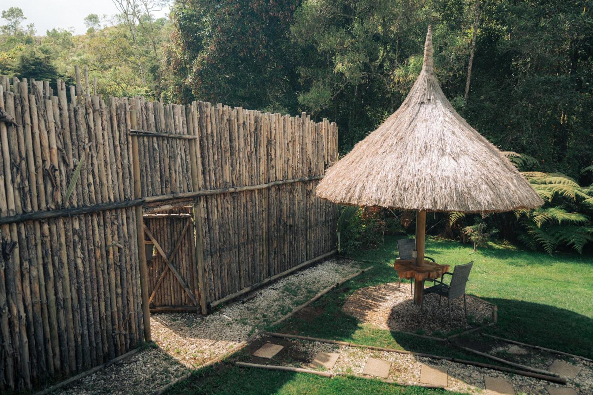 Bubblesky Glamping 15 Min From Medellin Hotel Rionegro Eksteriør billede