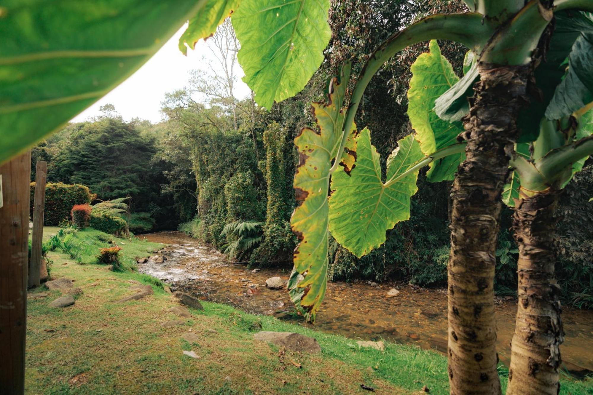 Bubblesky Glamping 15 Min From Medellin Hotel Rionegro Eksteriør billede