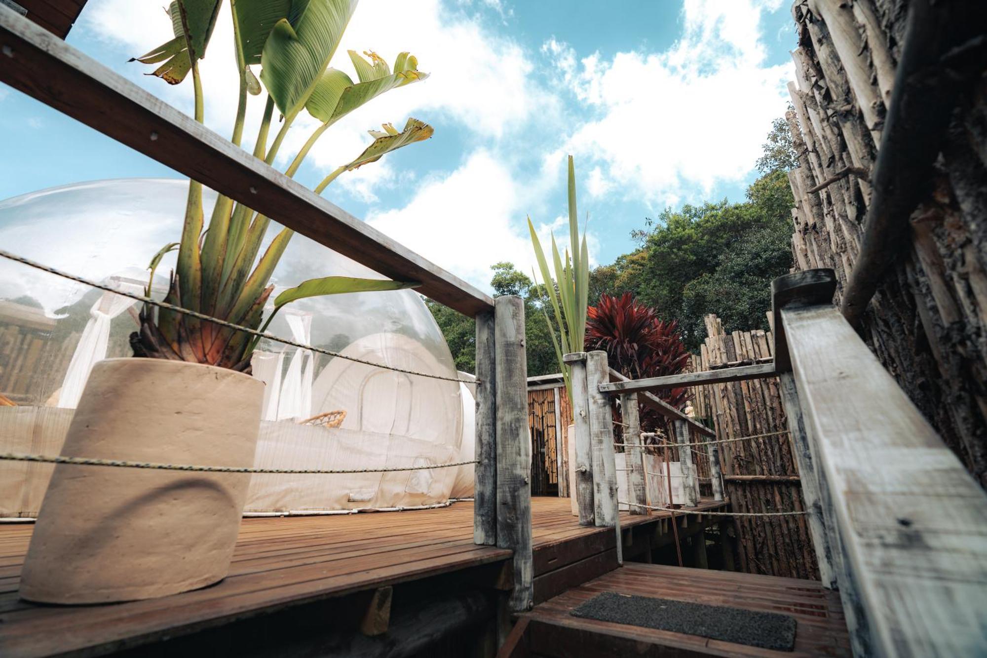 Bubblesky Glamping 15 Min From Medellin Hotel Rionegro Eksteriør billede