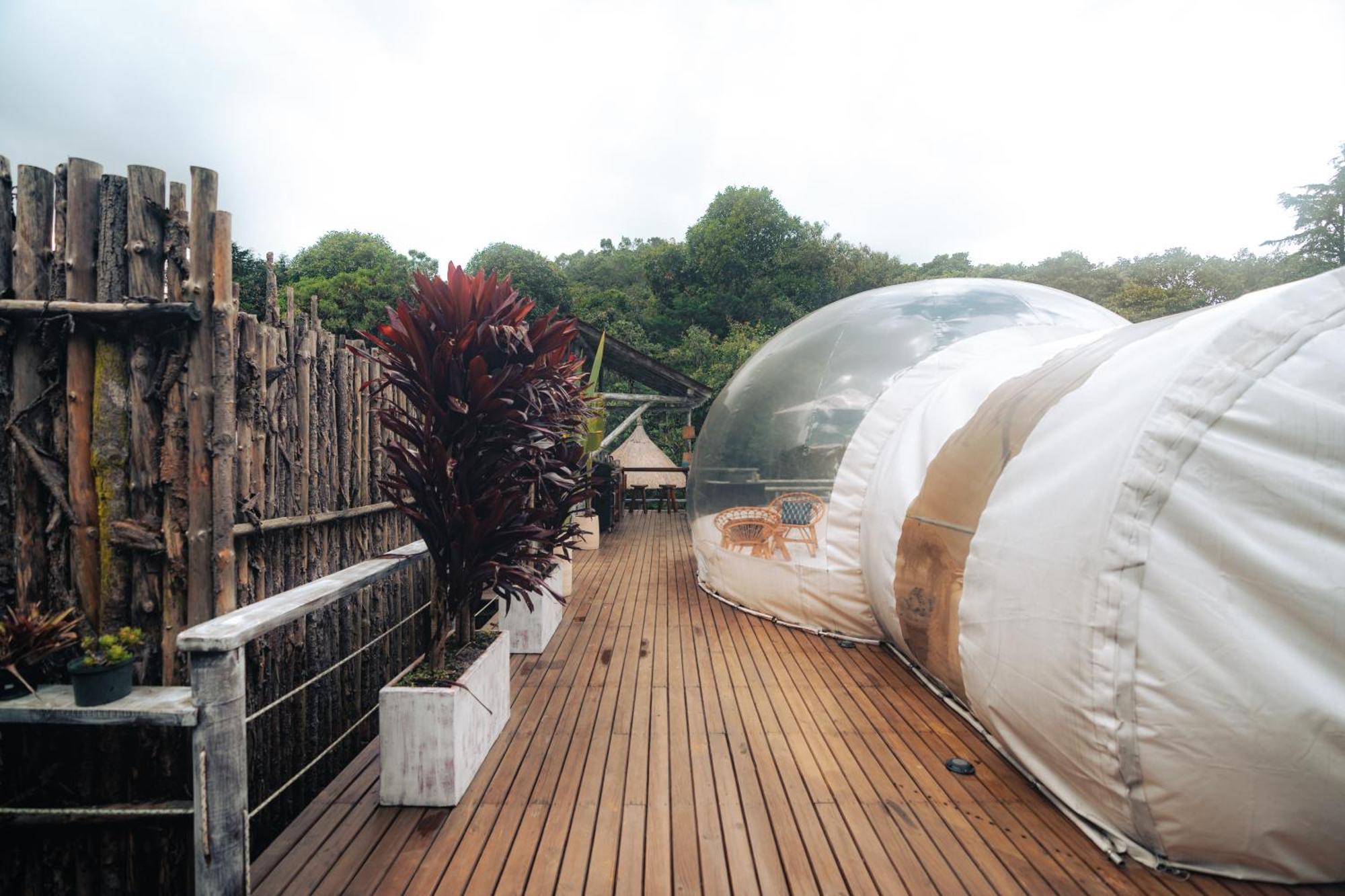 Bubblesky Glamping 15 Min From Medellin Hotel Rionegro Eksteriør billede