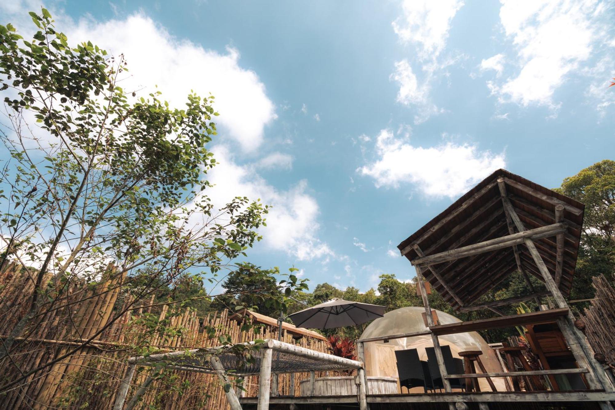 Bubblesky Glamping 15 Min From Medellin Hotel Rionegro Eksteriør billede