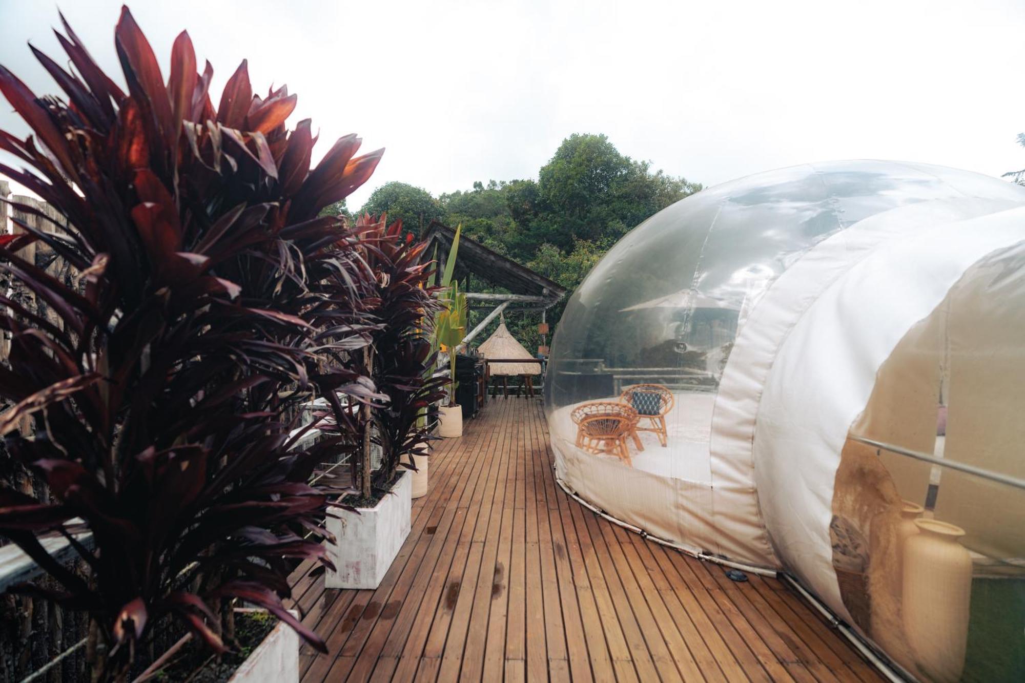 Bubblesky Glamping 15 Min From Medellin Hotel Rionegro Eksteriør billede