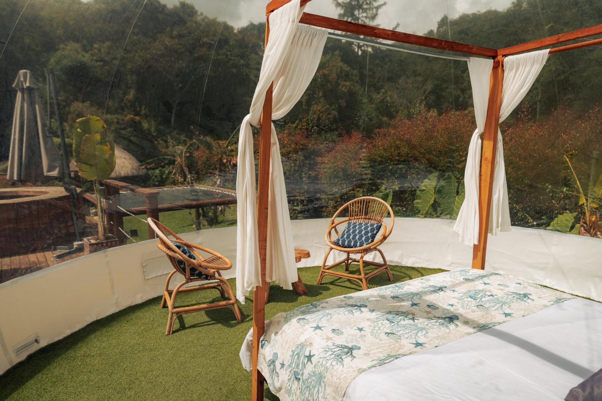 Bubblesky Glamping 15 Min From Medellin Hotel Rionegro Eksteriør billede
