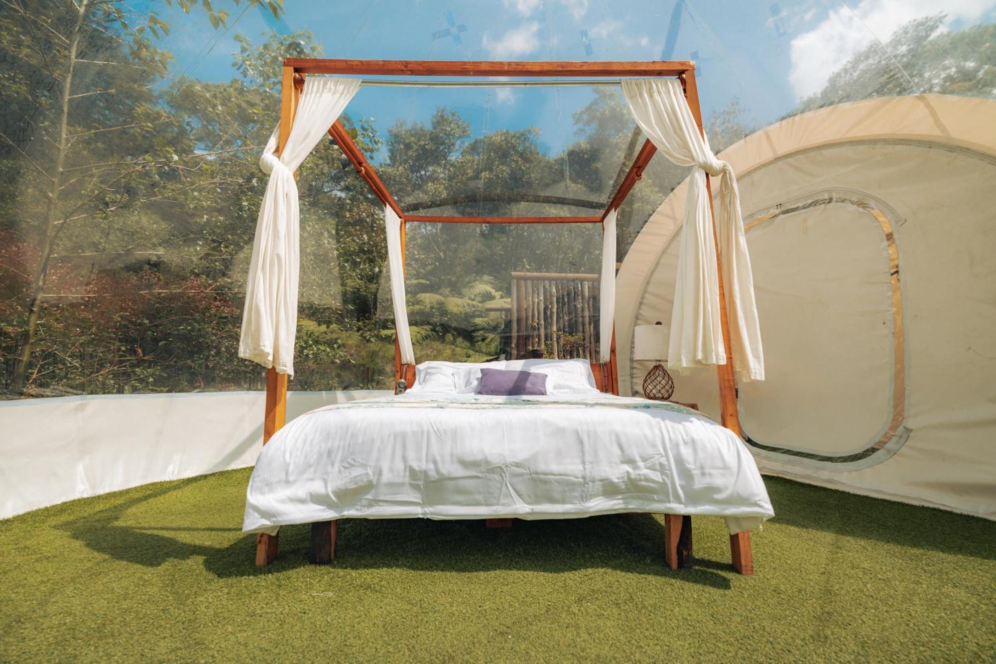 Bubblesky Glamping 15 Min From Medellin Hotel Rionegro Eksteriør billede