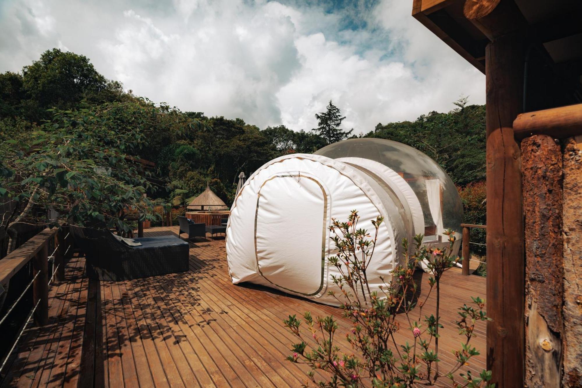 Bubblesky Glamping 15 Min From Medellin Hotel Rionegro Eksteriør billede
